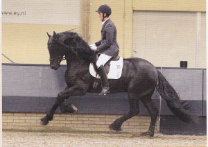 wylster 463