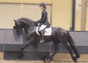 wytse 462